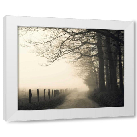 Hyatt Lane White Modern Wood Framed Art Print by Bell, Nicholas