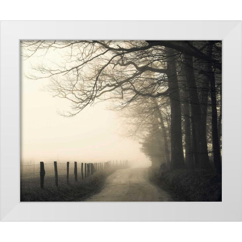 Hyatt Lane White Modern Wood Framed Art Print by Bell, Nicholas