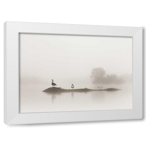 Melton Lake White Modern Wood Framed Art Print by Bell, Nicholas