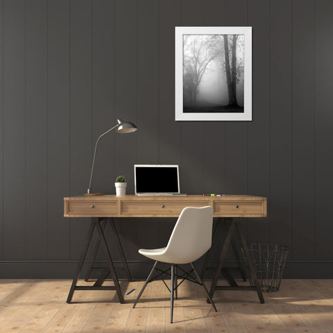 November Fog White Modern Wood Framed Art Print by Bell, Nicholas
