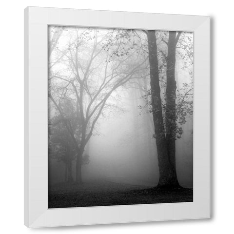 November Fog White Modern Wood Framed Art Print by Bell, Nicholas