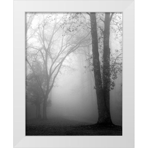 November Fog White Modern Wood Framed Art Print by Bell, Nicholas