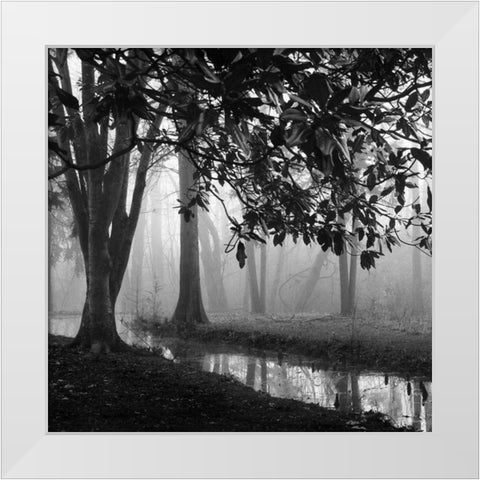 Woodland No. 1 White Modern Wood Framed Art Print by Bell, Nicholas