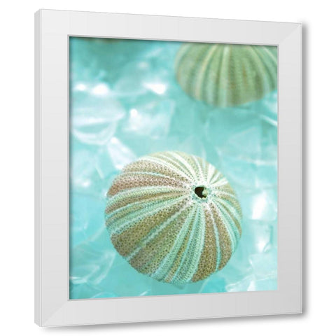 Seaglass 4 White Modern Wood Framed Art Print by Blaustein, Alan