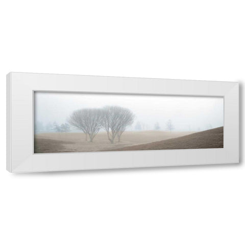 Coastal Trail White Modern Wood Framed Art Print by Blaustein, Alan
