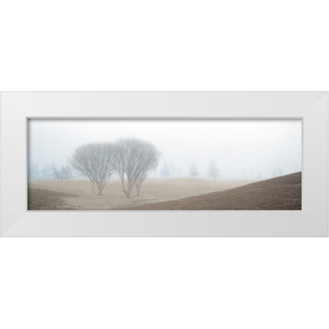 Coastal Trail White Modern Wood Framed Art Print by Blaustein, Alan