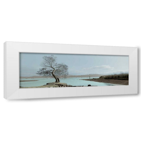 Lagoon Oak Tree White Modern Wood Framed Art Print by Blaustein, Alan