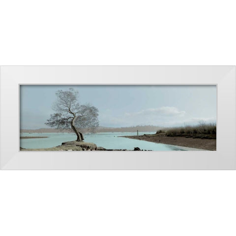 Lagoon Oak Tree White Modern Wood Framed Art Print by Blaustein, Alan