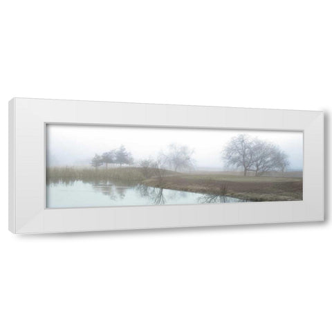 Lakeside Trail White Modern Wood Framed Art Print by Blaustein, Alan