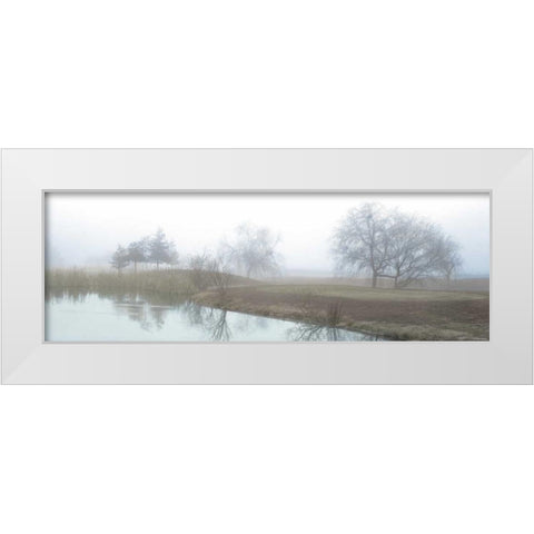 Lakeside Trail White Modern Wood Framed Art Print by Blaustein, Alan