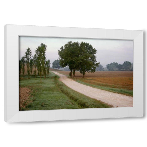 Toscana Valle No.2 White Modern Wood Framed Art Print by Blaustein, Alan