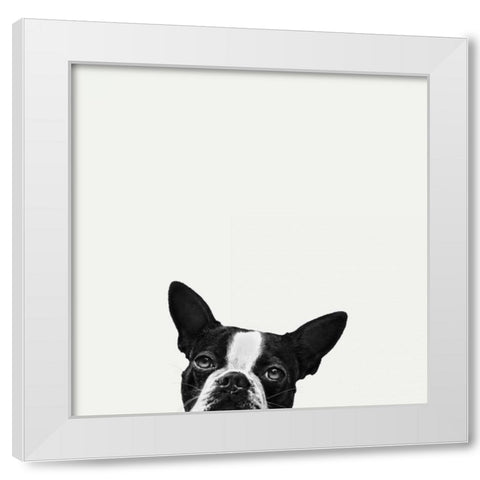 Loyalty White Modern Wood Framed Art Print by Bertelli, Jon