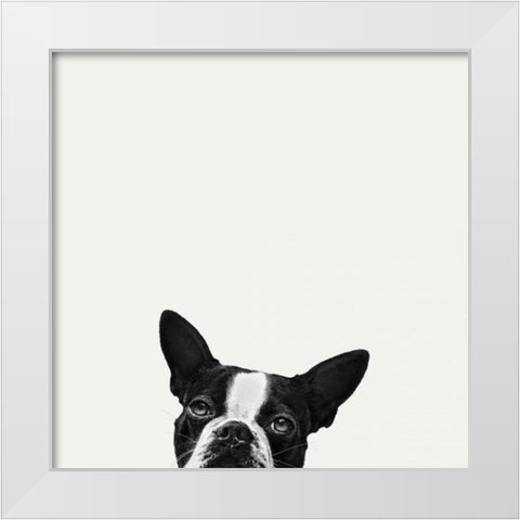 Loyalty White Modern Wood Framed Art Print by Bertelli, Jon