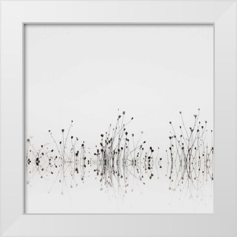Reflections White Modern Wood Framed Art Print by Bell, Nicholas