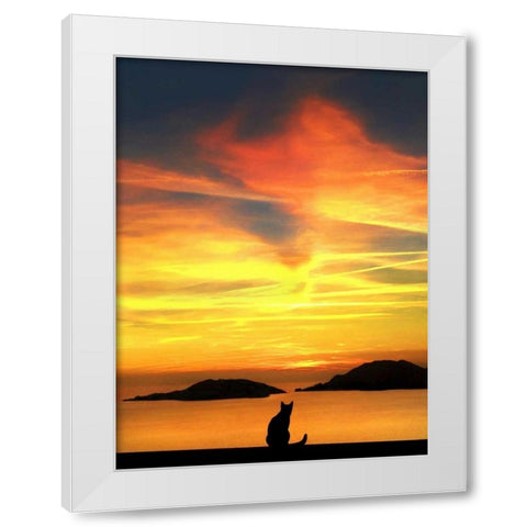Contemplation White Modern Wood Framed Art Print by Bertelli, Jon