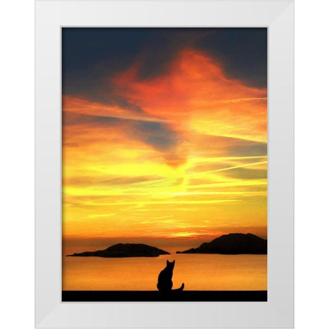 Contemplation White Modern Wood Framed Art Print by Bertelli, Jon
