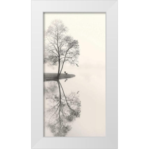 Tranquil Morning White Modern Wood Framed Art Print by Bell, Nicholas