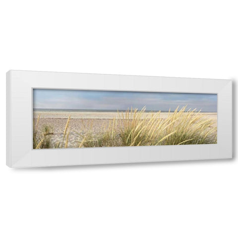 Island Sand Dunes White Modern Wood Framed Art Print by Blaustein, Alan
