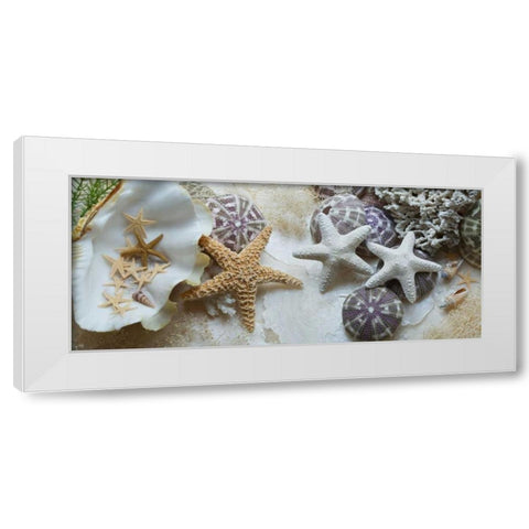 Island Tide Pool No. 4 White Modern Wood Framed Art Print by Blaustein, Alan