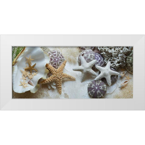 Island Tide Pool No. 4 White Modern Wood Framed Art Print by Blaustein, Alan