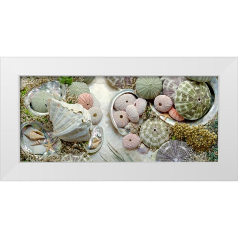 Island Tide Pool No. 7 White Modern Wood Framed Art Print by Blaustein, Alan