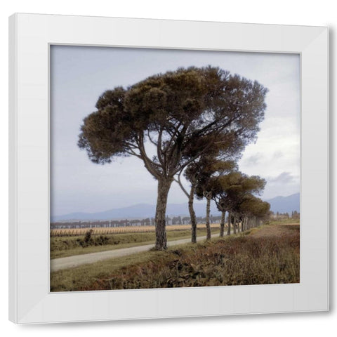 Tuscan Fatorria Strada No. 1 White Modern Wood Framed Art Print by Blaustein, Alan