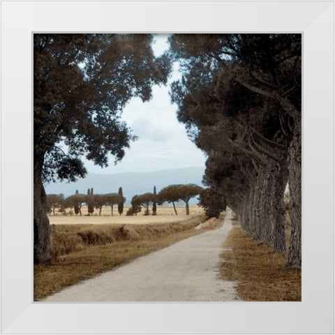 Tuscan Fatorria Strada No. 2 White Modern Wood Framed Art Print by Blaustein, Alan