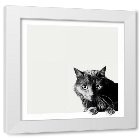 Inquisitive White Modern Wood Framed Art Print by Bertelli, Jon