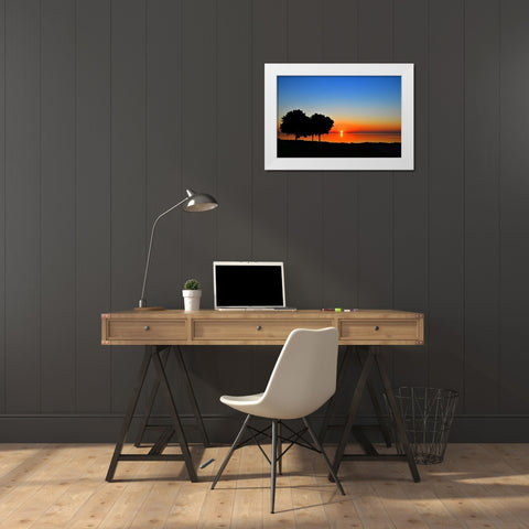 Rise and Shine White Modern Wood Framed Art Print by Burdick, Chuck