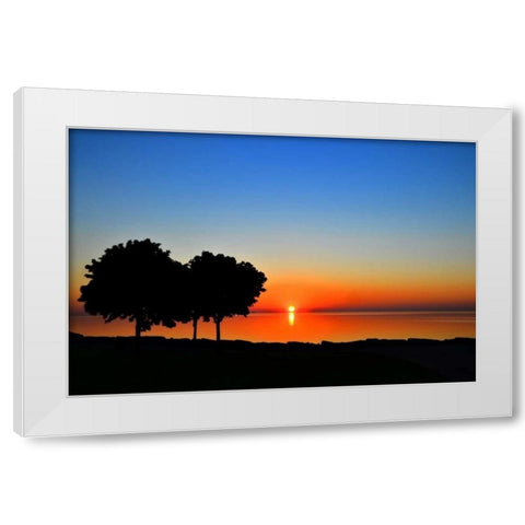 Rise and Shine White Modern Wood Framed Art Print by Burdick, Chuck
