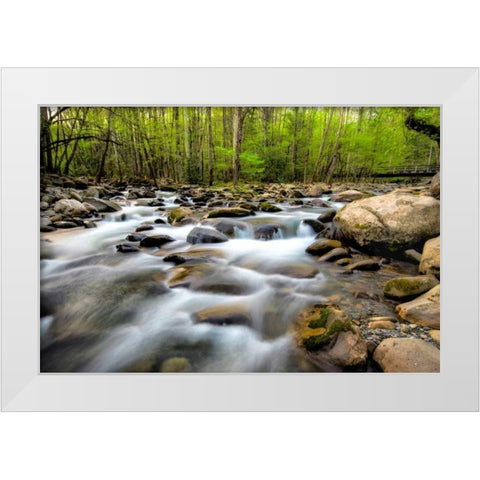 Below the Bridge White Modern Wood Framed Art Print by Burt, Daniel