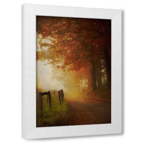 Come to the Light White Modern Wood Framed Art Print by Burt, Daniel