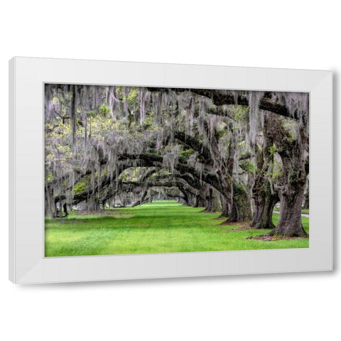 Hanging to the Left White Modern Wood Framed Art Print by Burt, Daniel