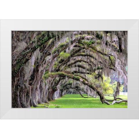 Hanging to the Right White Modern Wood Framed Art Print by Burt, Daniel