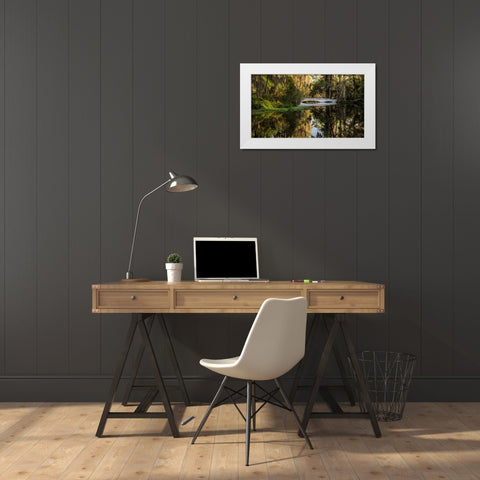 Long White Bridge White Modern Wood Framed Art Print by Burt, Daniel