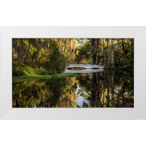 Long White Bridge White Modern Wood Framed Art Print by Burt, Daniel