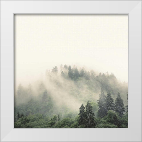Smoky Mountains White Modern Wood Framed Art Print by Bell, Nicholas