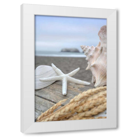 Crescent Beach Shells 12 White Modern Wood Framed Art Print by Blaustein, Alan