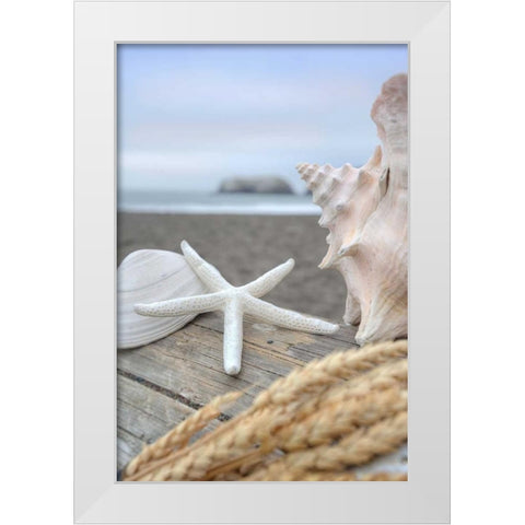 Crescent Beach Shells 12 White Modern Wood Framed Art Print by Blaustein, Alan