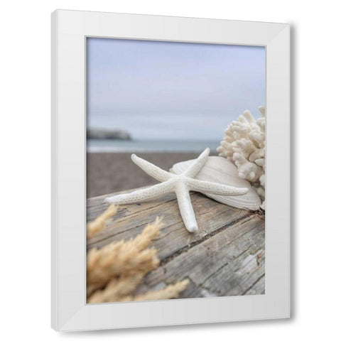 Crescent Beach Shells 13 White Modern Wood Framed Art Print by Blaustein, Alan