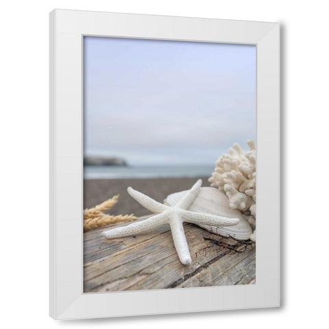 Crescent Beach Shells 14 White Modern Wood Framed Art Print by Blaustein, Alan