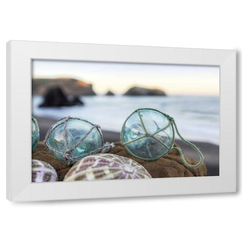 Crescent Beach Shells 16 White Modern Wood Framed Art Print by Blaustein, Alan
