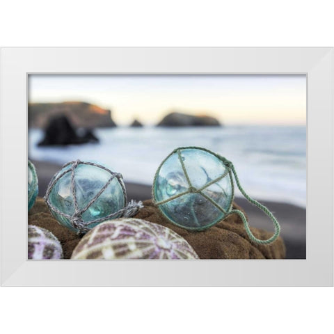 Crescent Beach Shells 16 White Modern Wood Framed Art Print by Blaustein, Alan