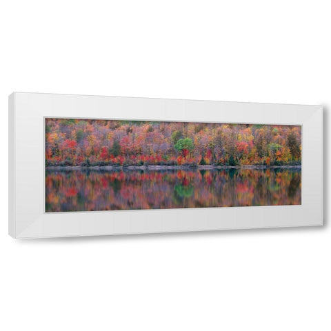 Upson Lake Reflection White Modern Wood Framed Art Print by Becia, Jim