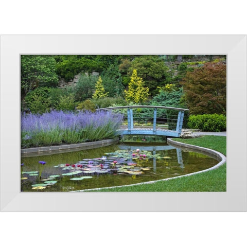 Serenity White Modern Wood Framed Art Print by Burdick, Chuck