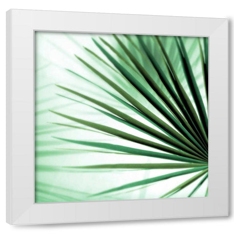 Palm Leaf #1 White Modern Wood Framed Art Print by Blaustein, Alan