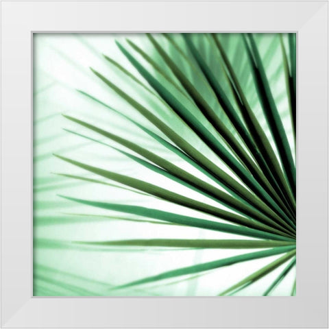 Palm Leaf #1 White Modern Wood Framed Art Print by Blaustein, Alan