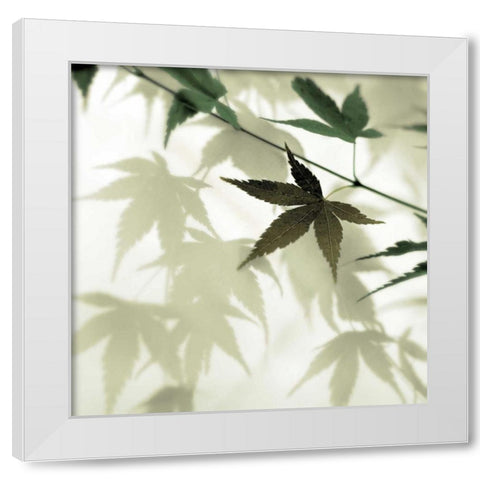 Japanese Maple #1 White Modern Wood Framed Art Print by Blaustein, Alan