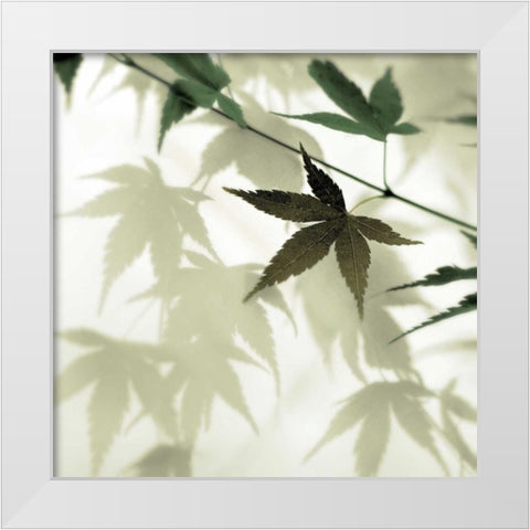 Japanese Maple #1 White Modern Wood Framed Art Print by Blaustein, Alan