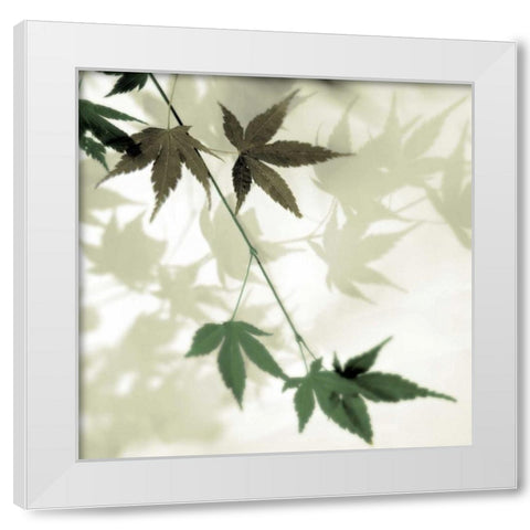 Japanese Maple #2 White Modern Wood Framed Art Print by Blaustein, Alan
